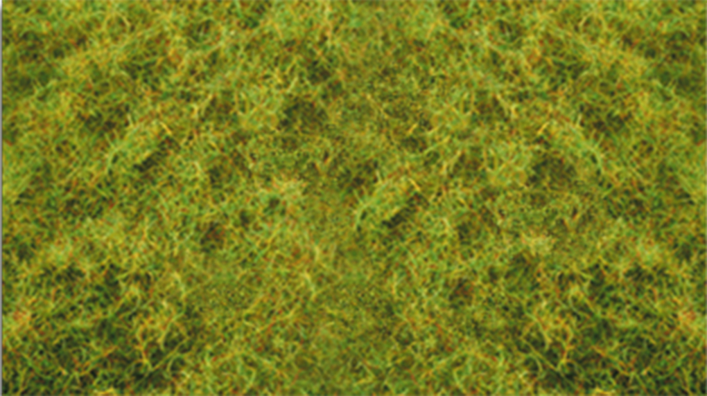 Pull-Apart 2mm Static Grass - Light Green (one 11" X 5.5" sheet)