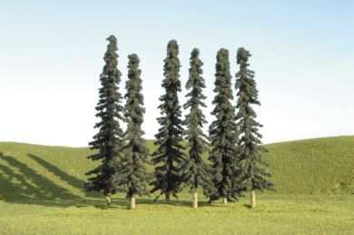 2" - 4" Conifer Bulk Trees (36 per Bag)