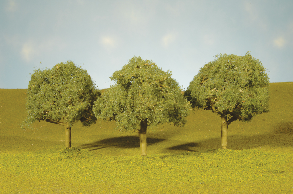 4½" - 5" Oak Trees