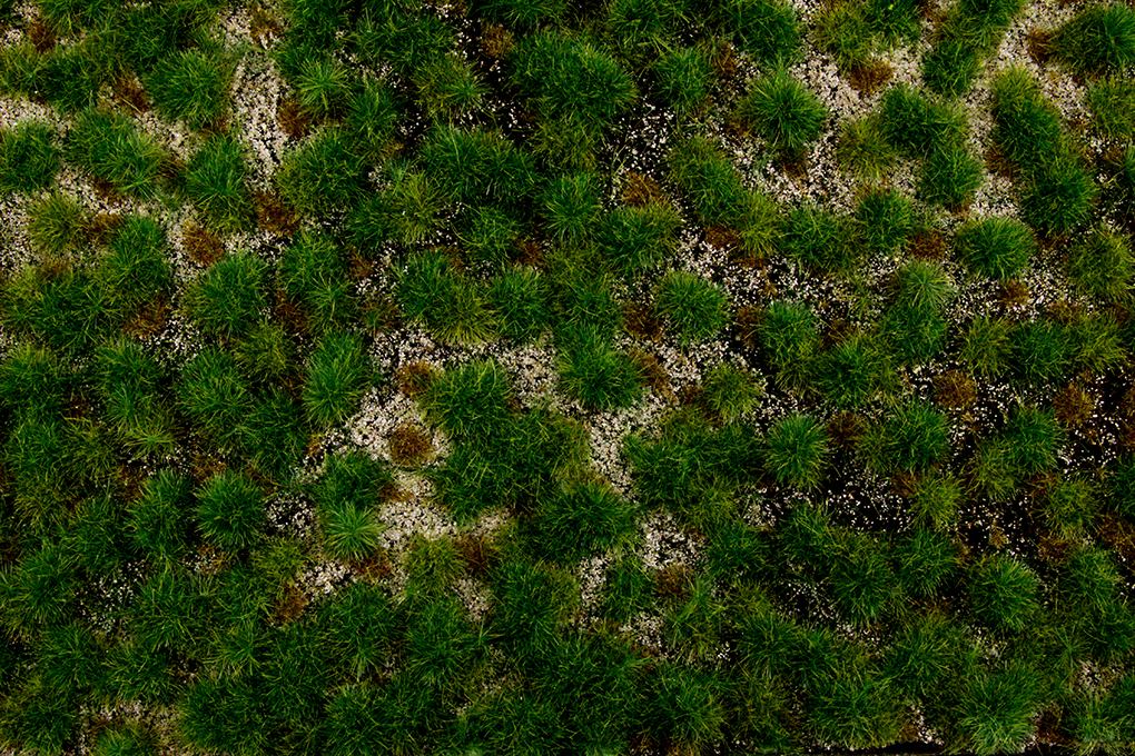 Western Range Tufted Grass Mat (one 11.75" X 7.5" sheet)