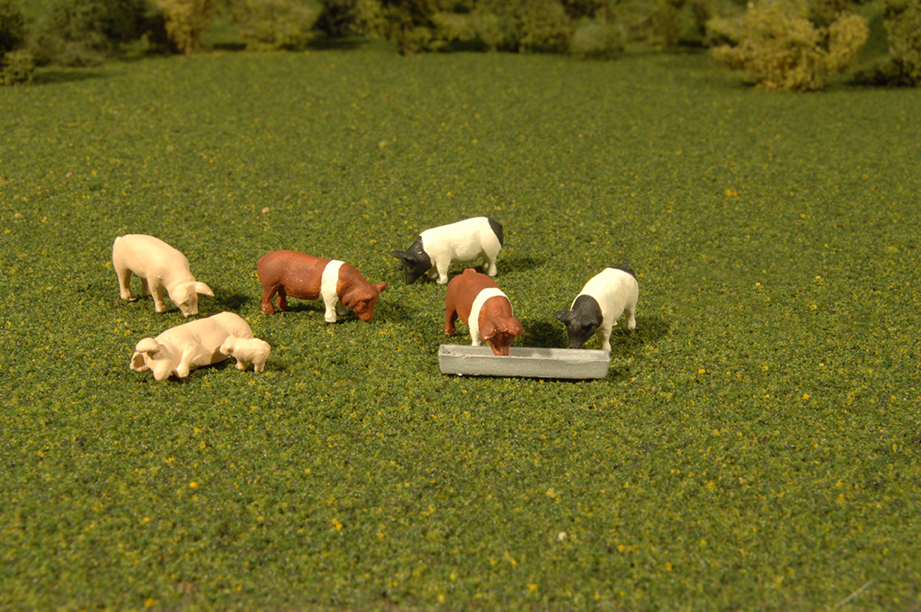 Pigs - O Scale - Click Image to Close