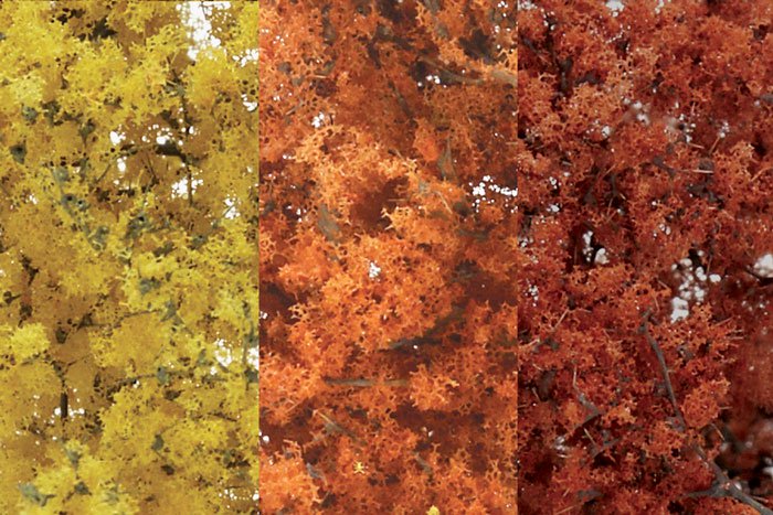 Fine-Leaf Foliage™ Fall Mix - Click Image to Close