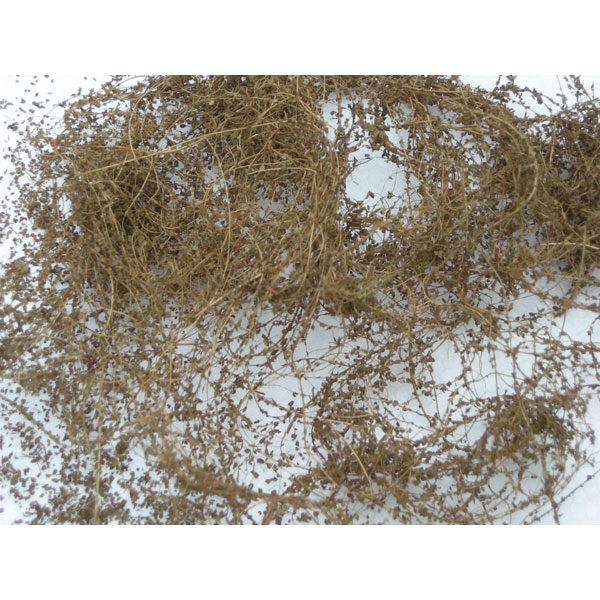 DRY VINES (DEAD FOLIAGE) 10g - Click Image to Close