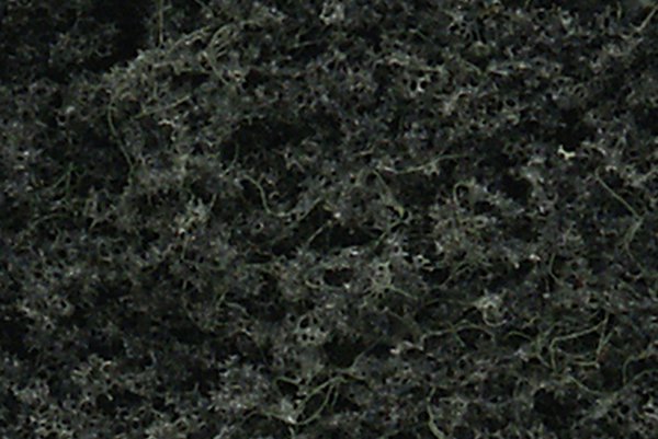 Conifer Green - 16/pkg